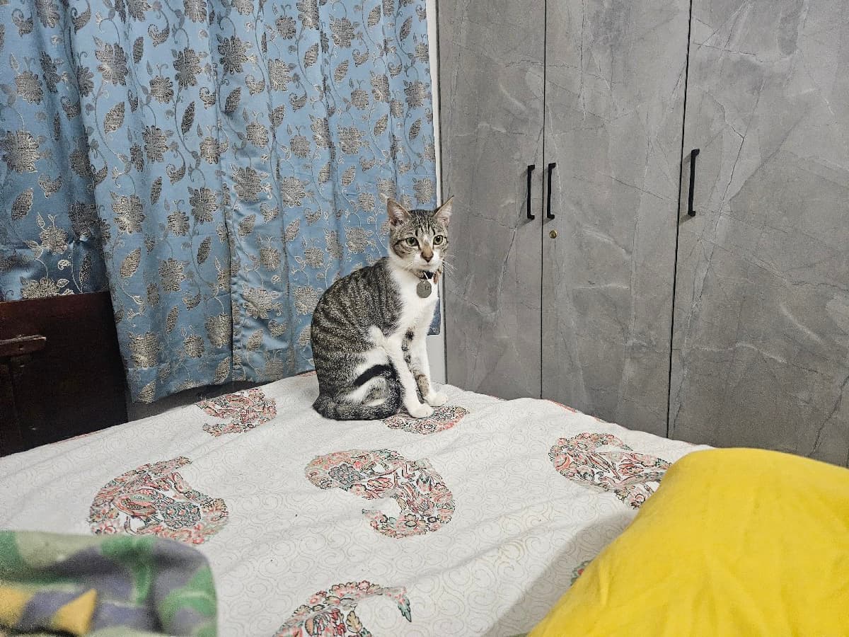 Priyanshi's home photo 7