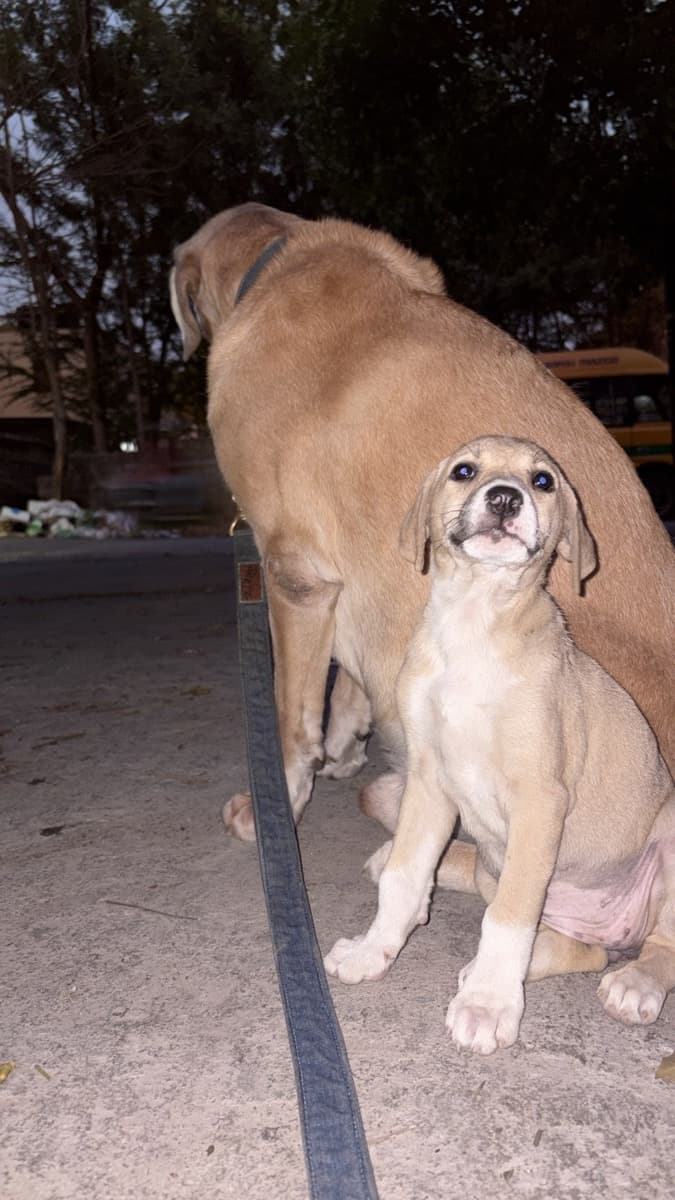 Maian's home photo 1