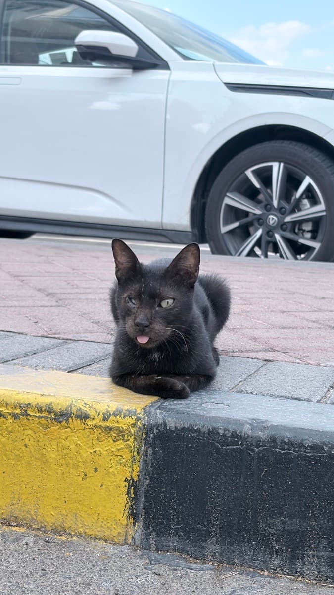 Maian's home photo 3