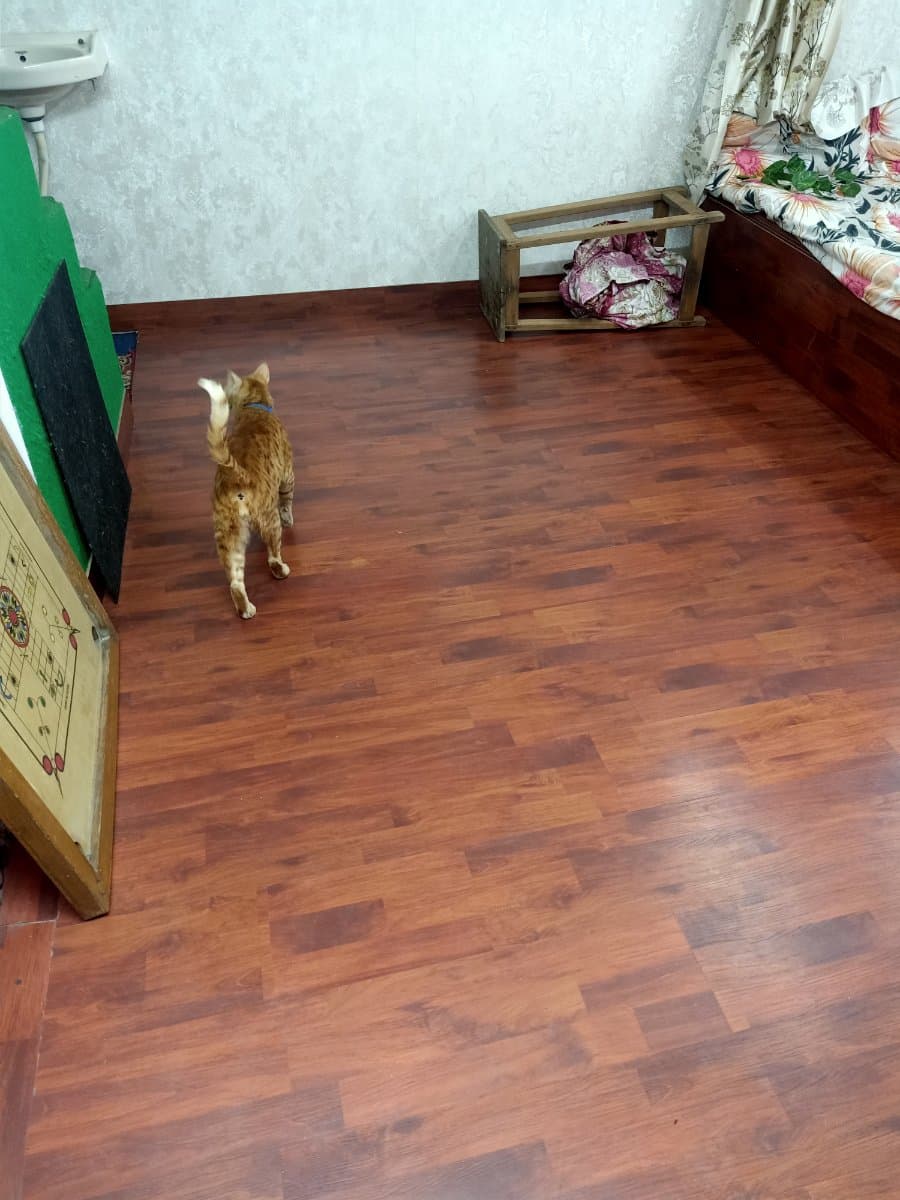 Alisha's home photo 3
