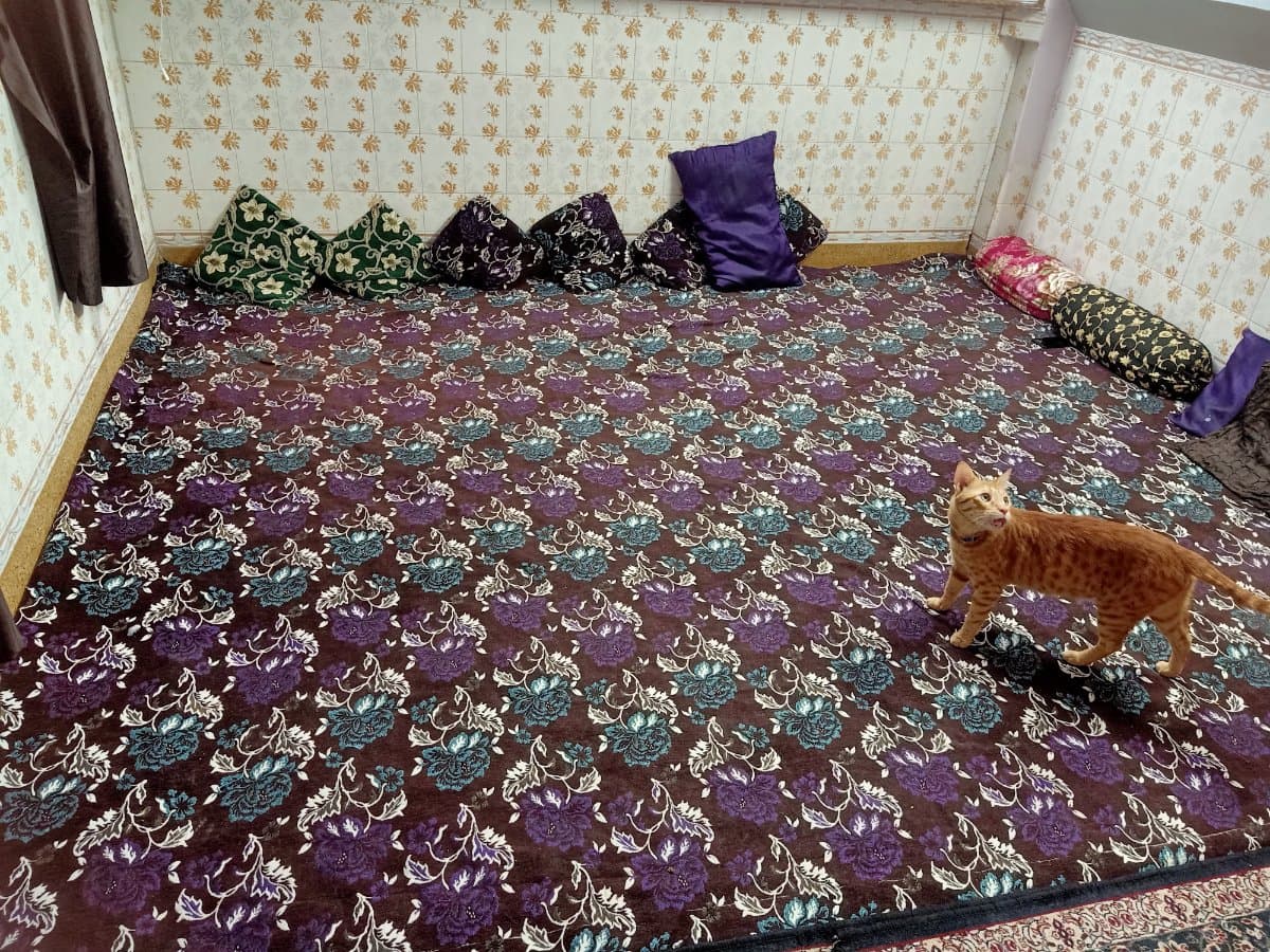 Alisha's home photo 2