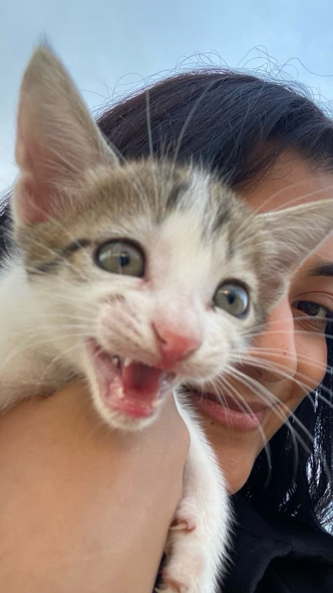 Chandan's profile photo