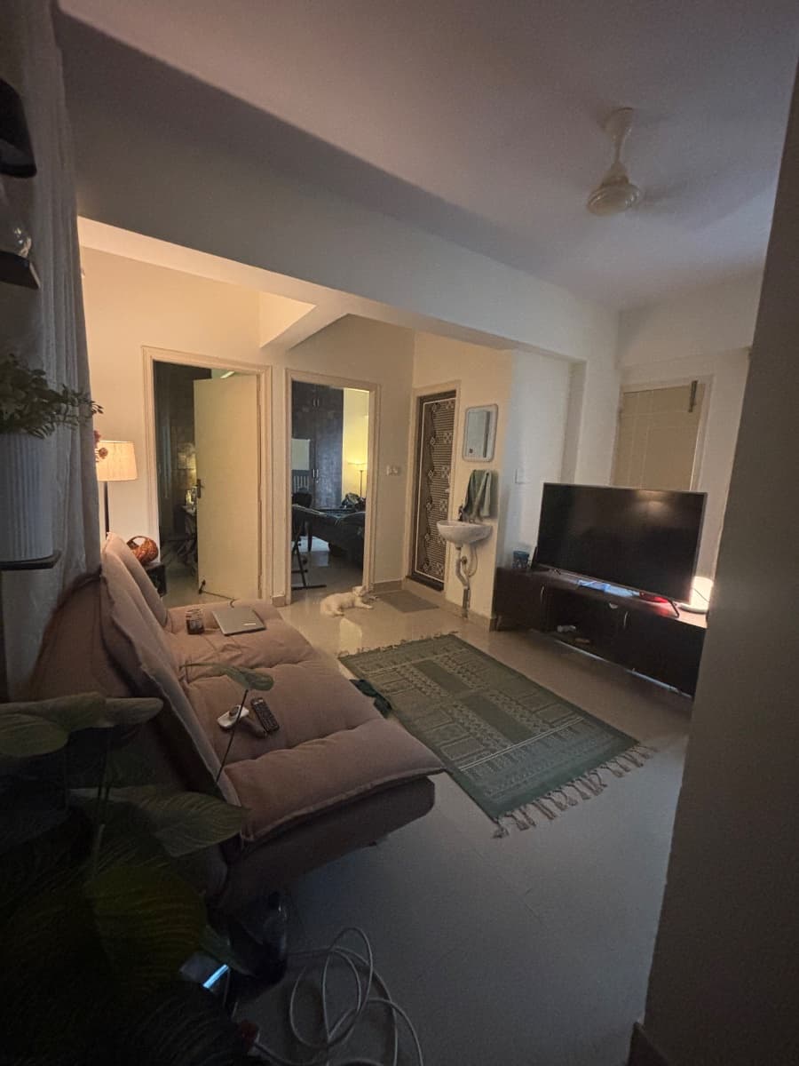 Alesha's home photo 3