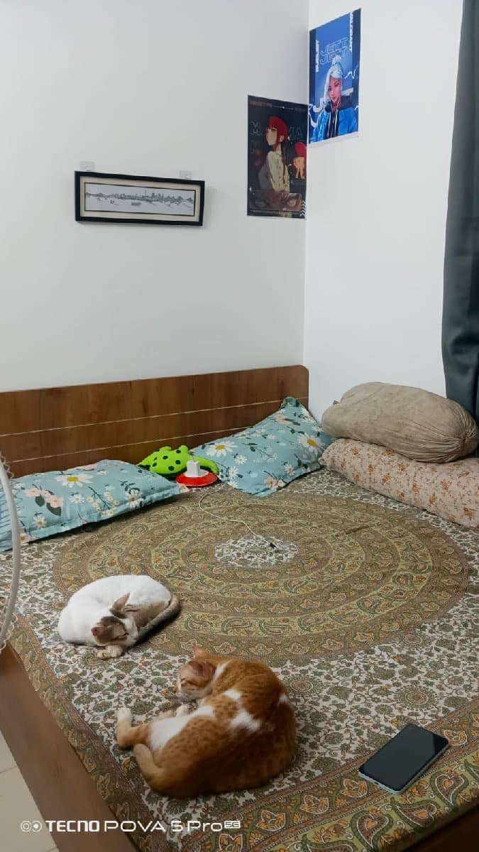 Souhardya's home photo 1