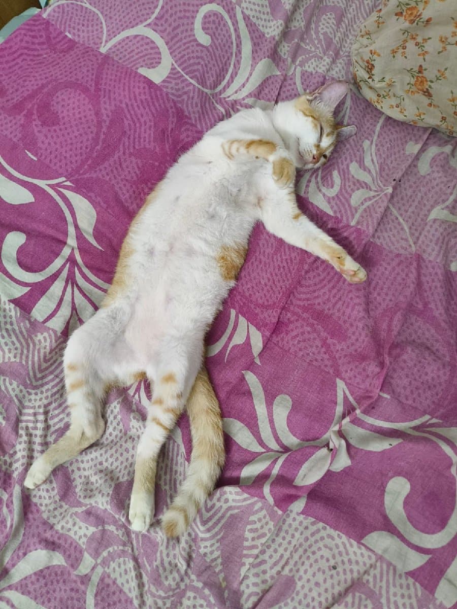 Souhardya's home photo 2