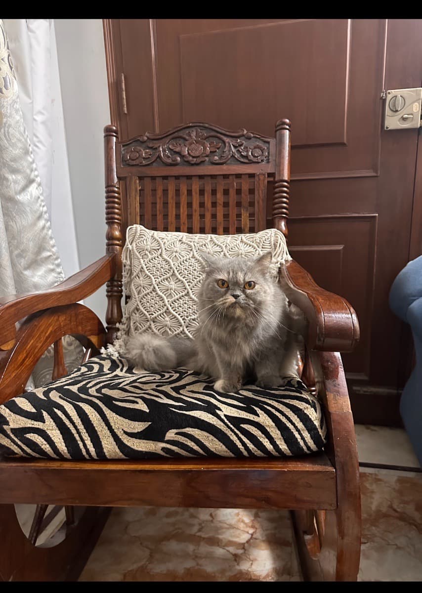 Soha's home photo 1