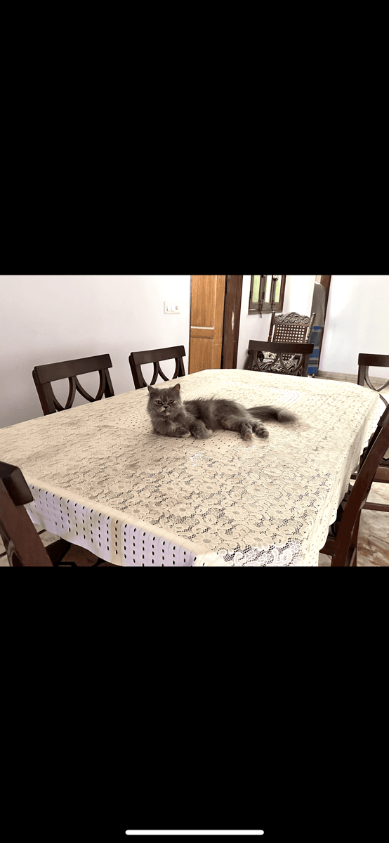 Soha's home photo 2