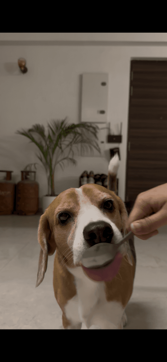 Palak's home photo 8