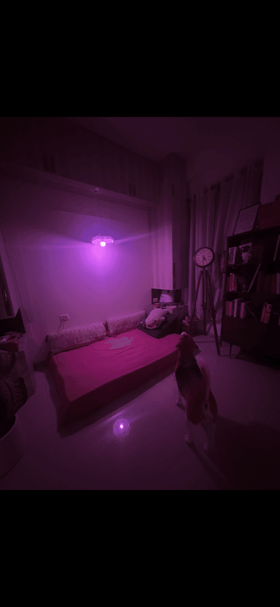 Palak's home photo 7