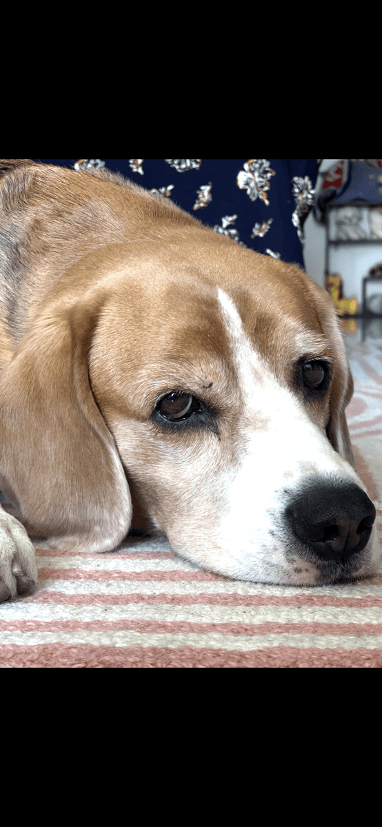 Palak's home photo 6