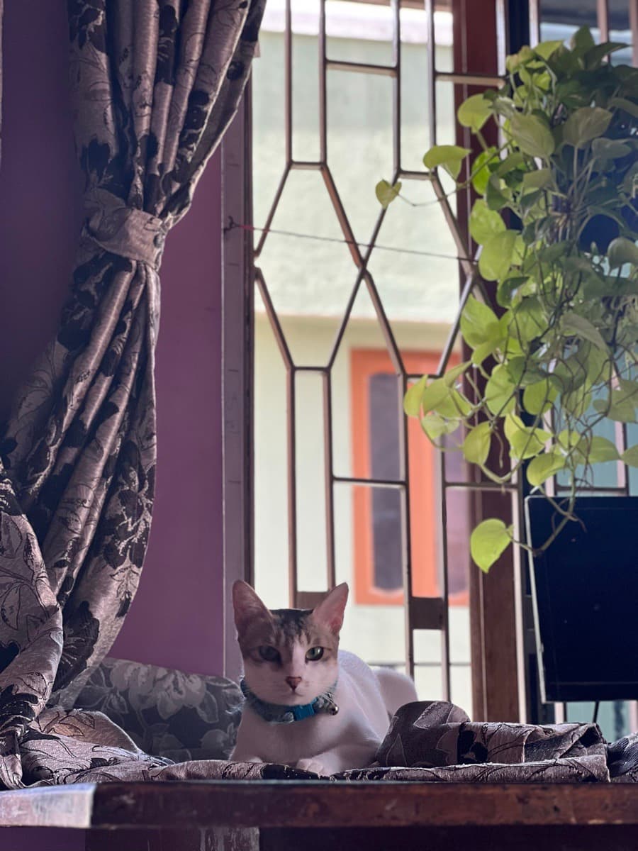 Oushnik's home photo 1