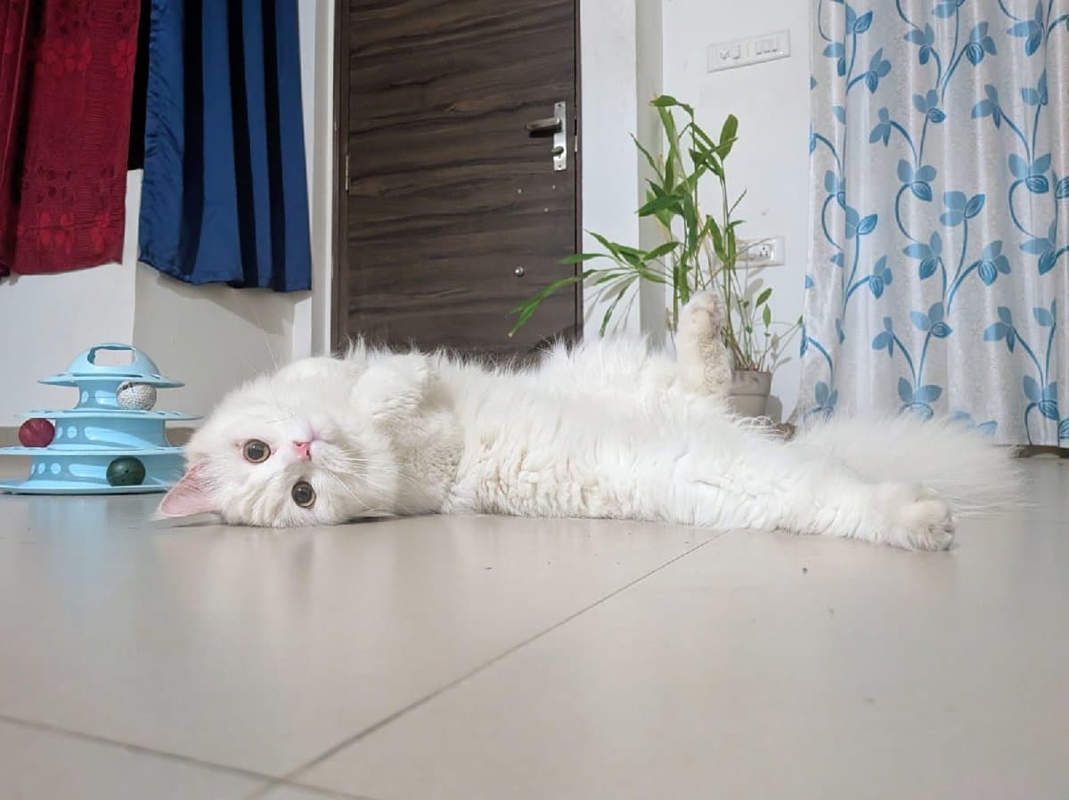 Manimala's home photo 3