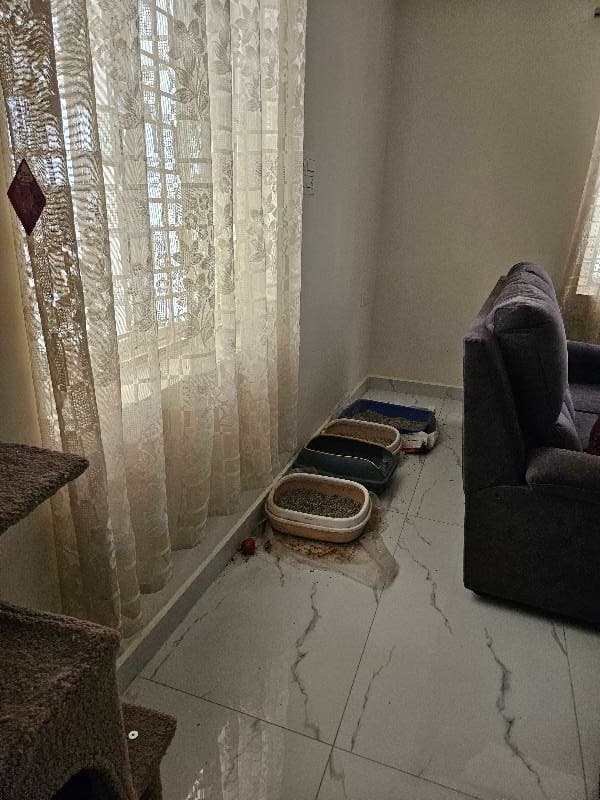 Akula's home photo 4