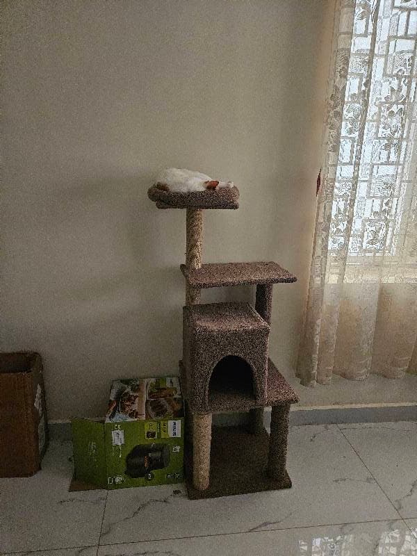 Akula's home photo 3