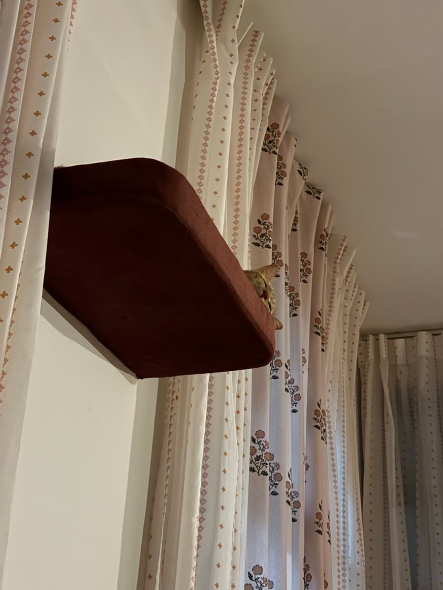Nivedita's home photo 4