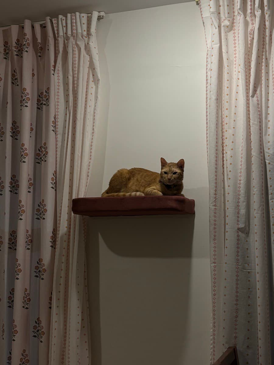 Nivedita's home photo 5