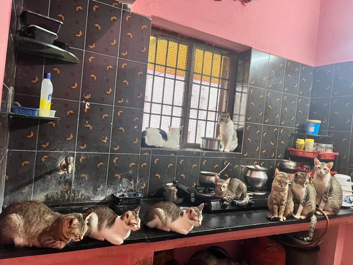 Jaya's home photo 6