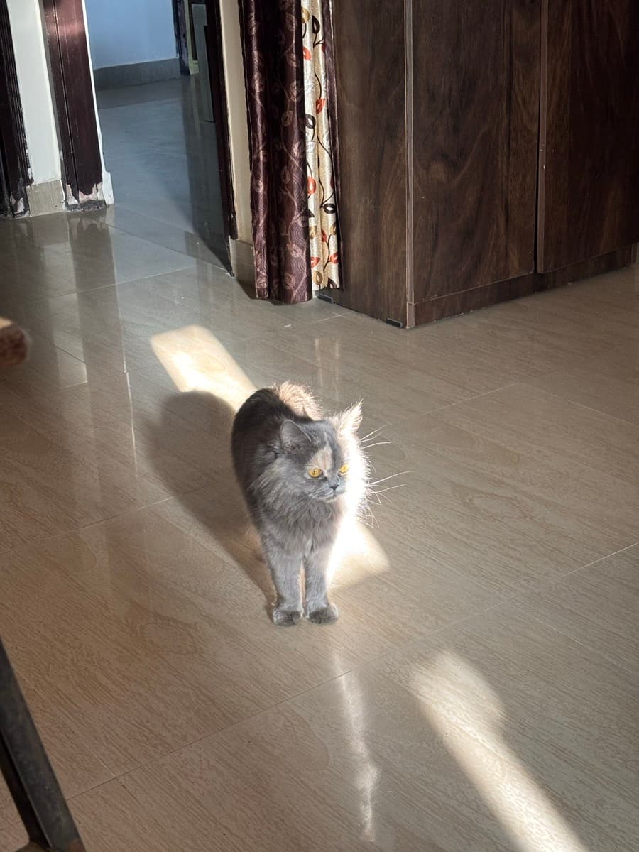 Utkarsh's home photo 1