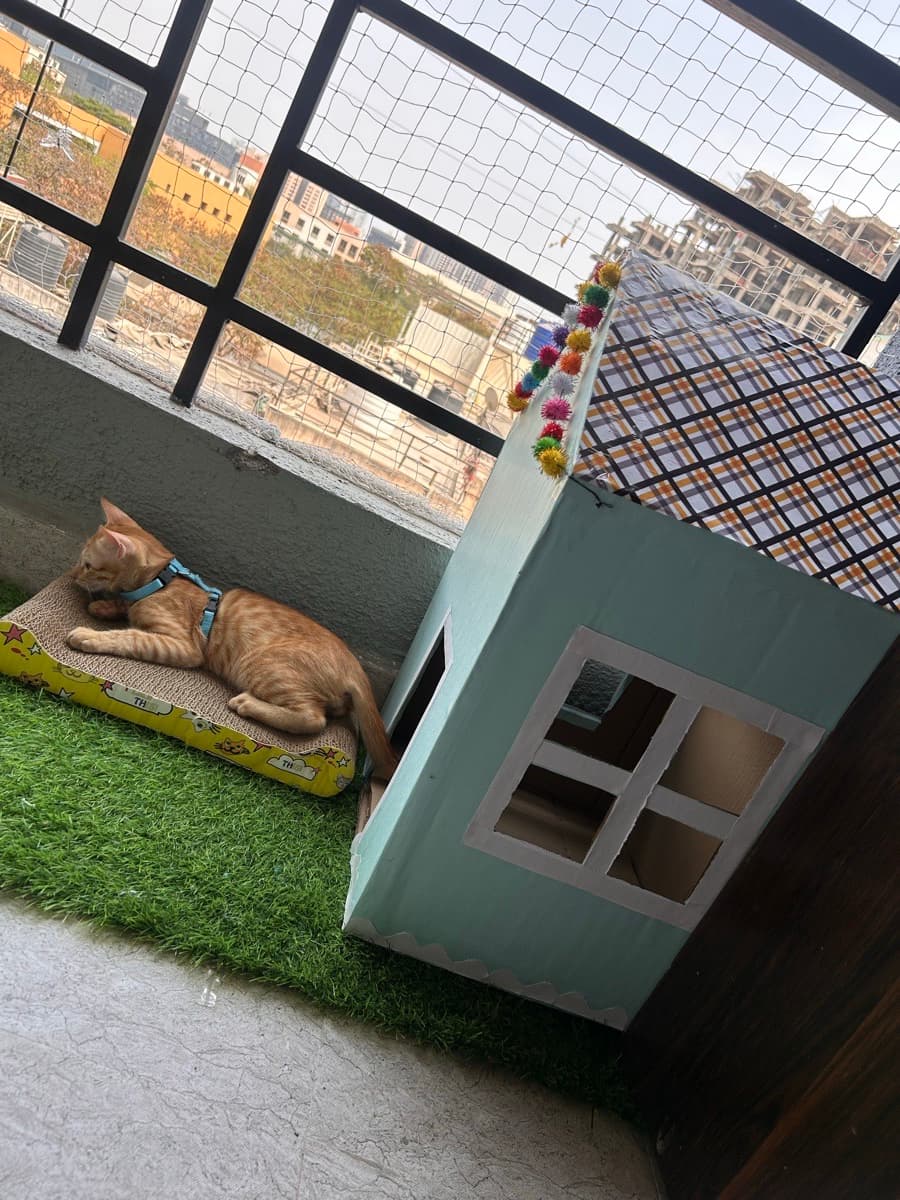 Samidha's home photo 3