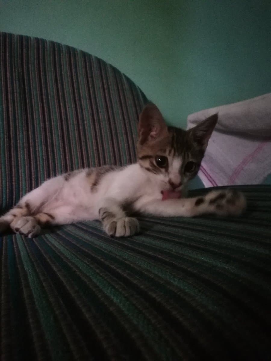 VINAY's home photo 8