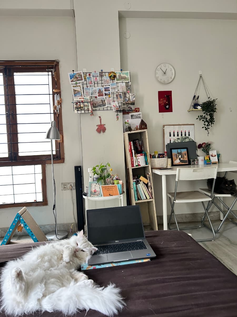 Priyanka's home photo 4