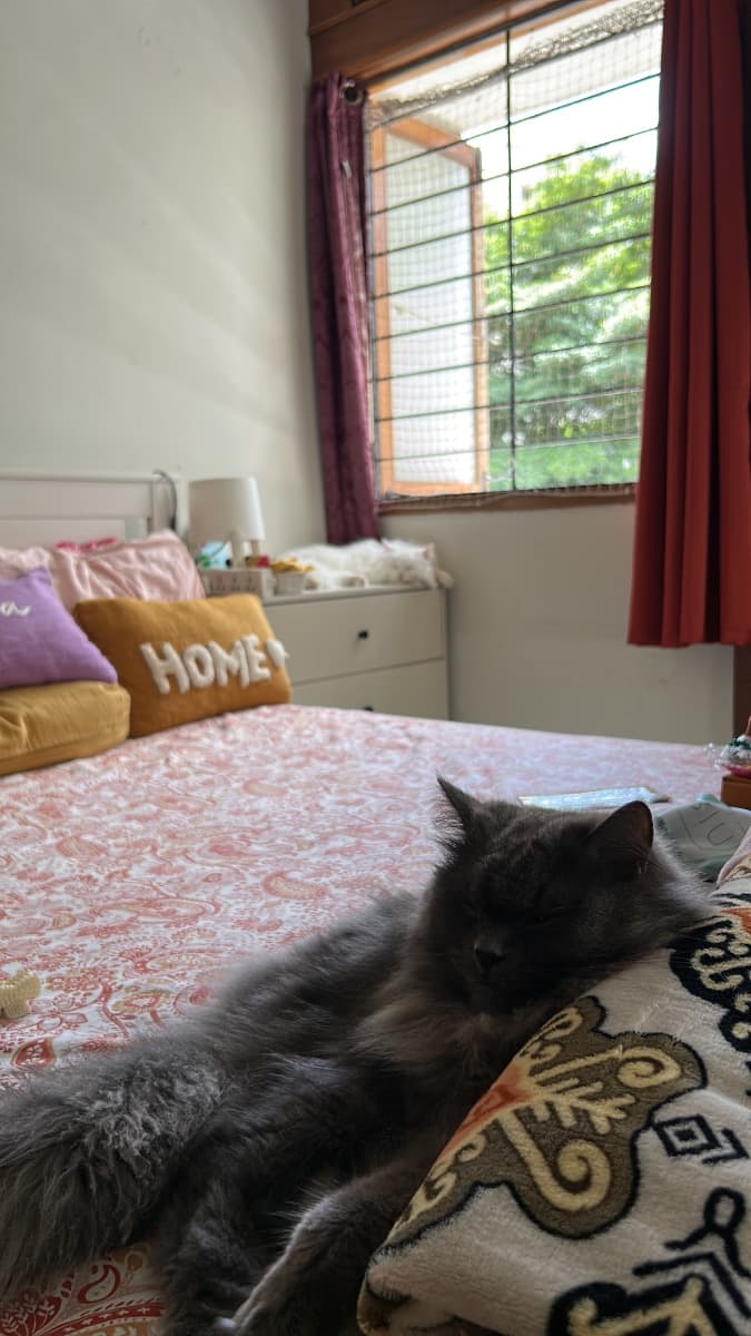 Priyanka's home photo 2