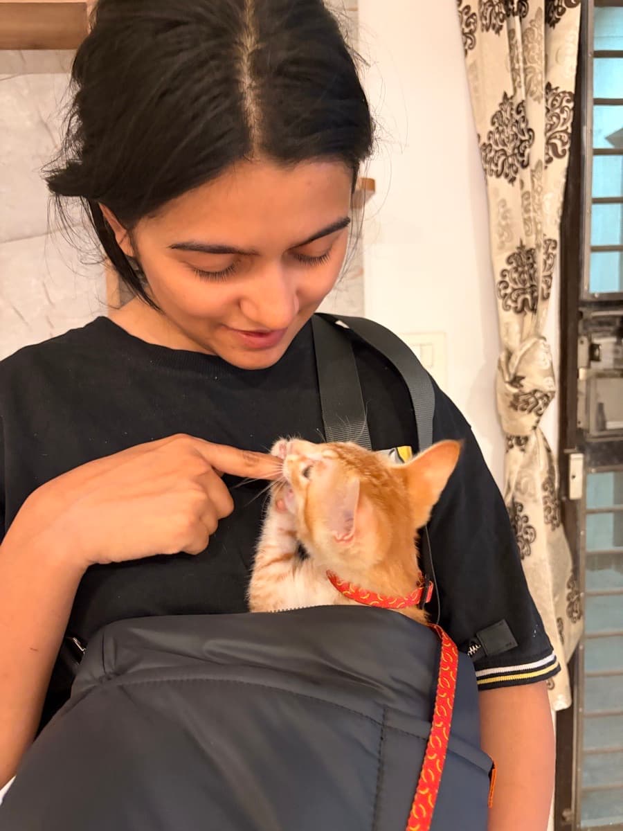 Dilona's profile photo