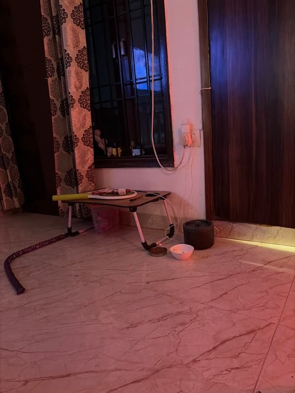 Dilona's home photo 2