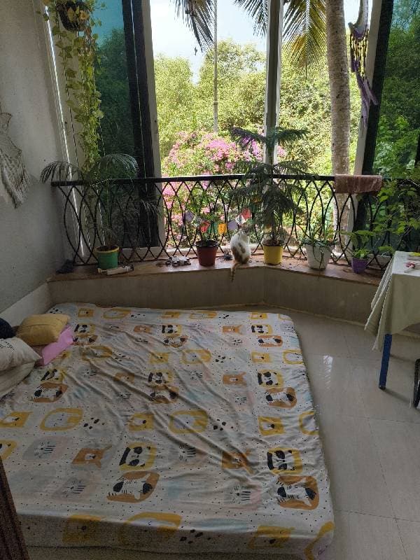 Ankit's home photo 2