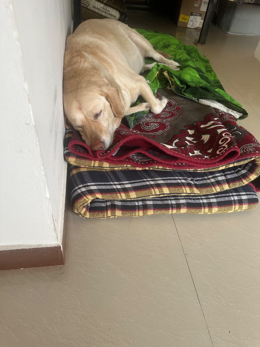 Kantini's home photo 2