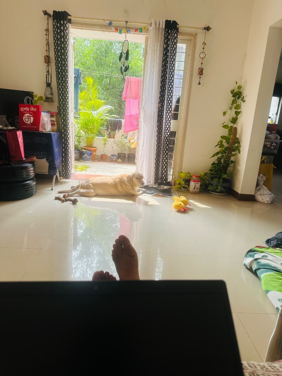 Kantini's home photo 3