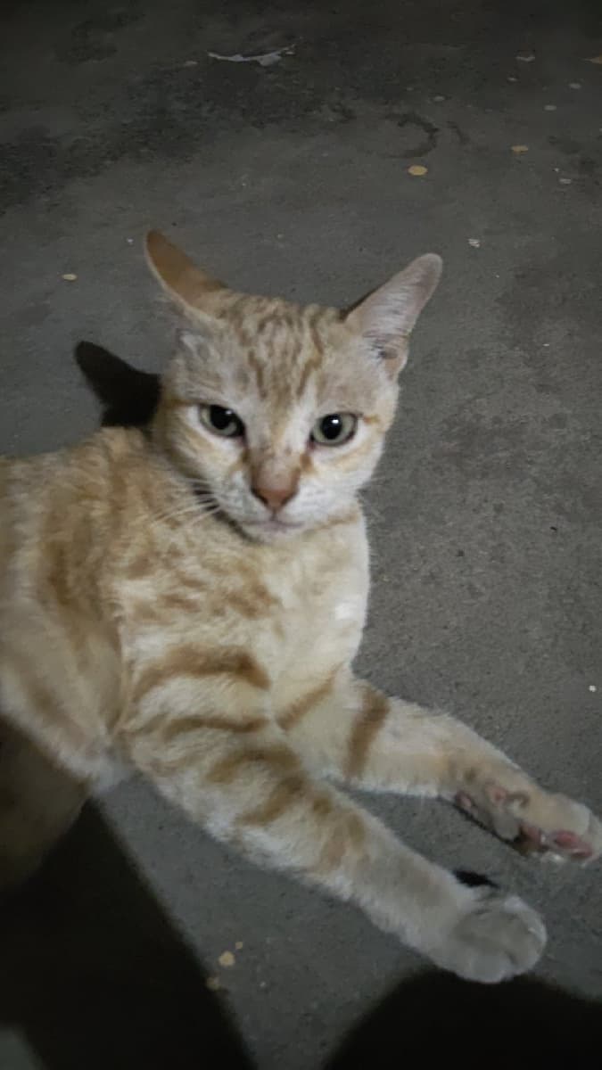 Akshatha's home photo 1