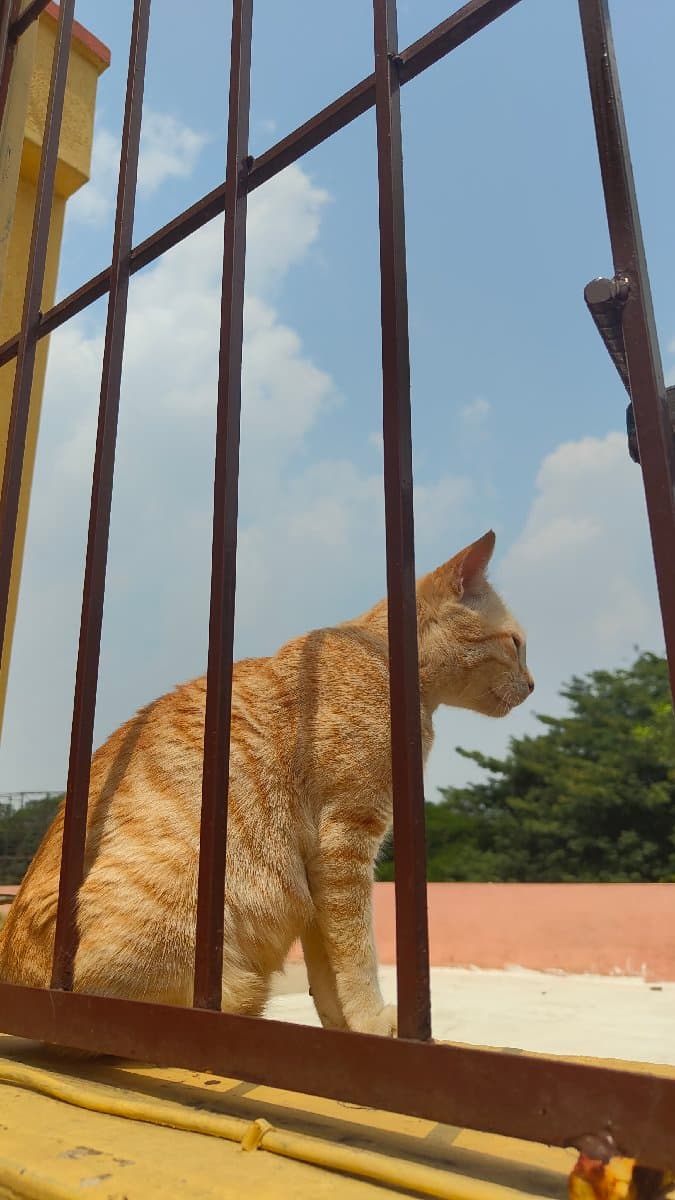 Akshatha's home photo 2