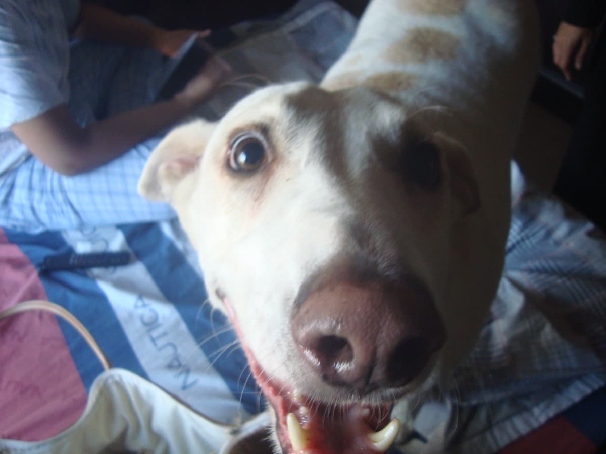 Aditi's home photo 6