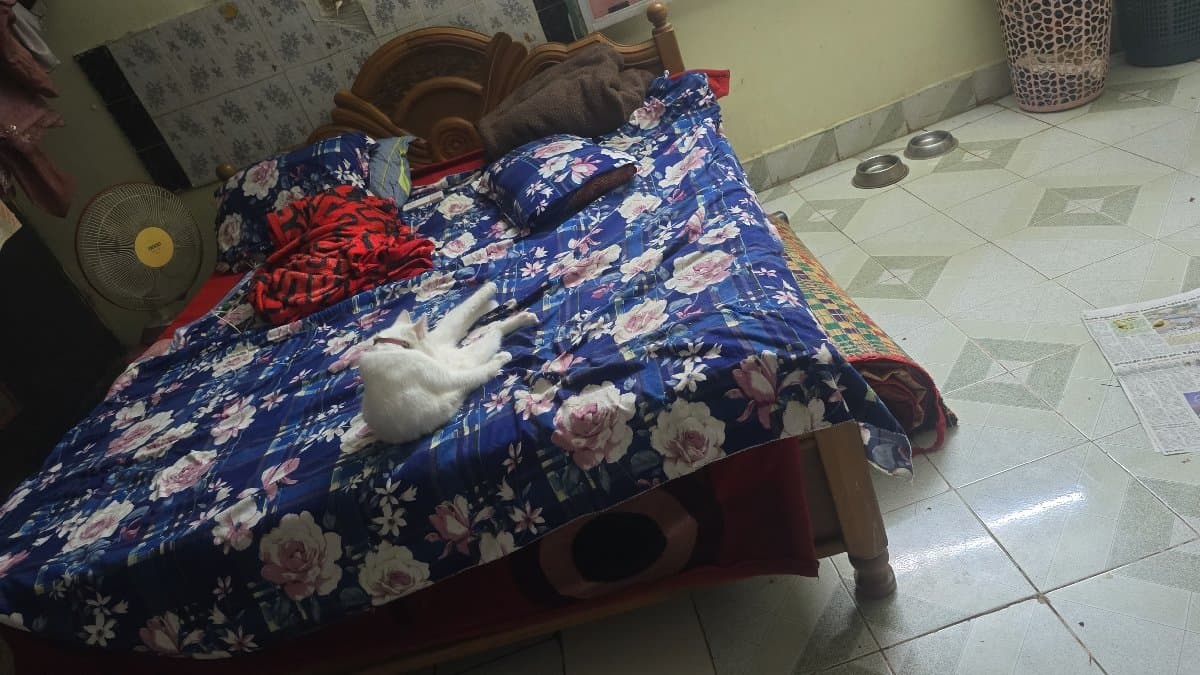 Mohammed's home photo 5