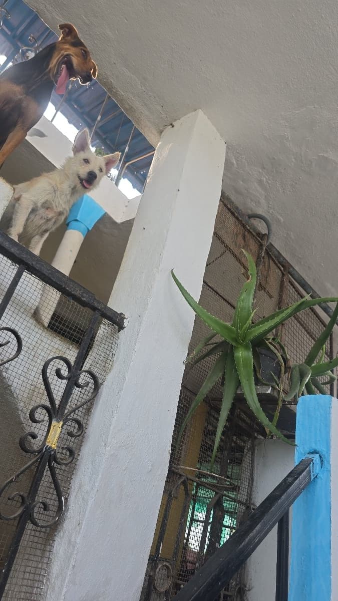 Mohammed's home photo 6