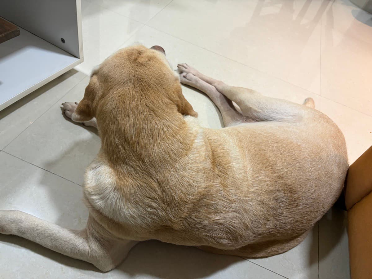 Rohan's home photo 5