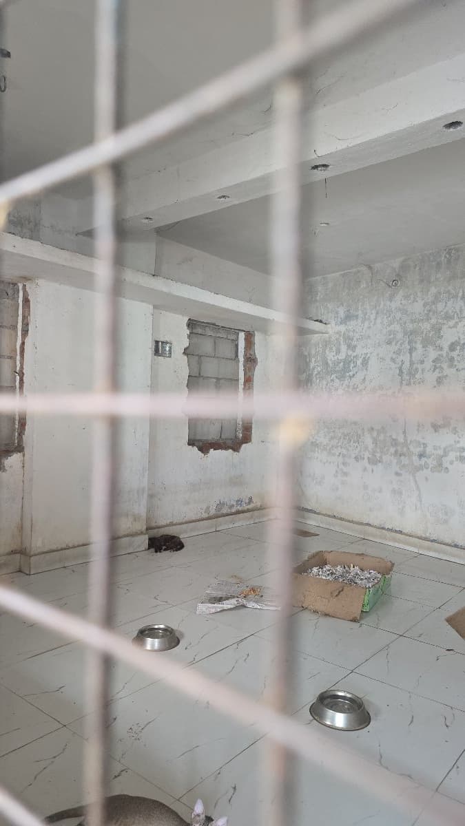 Mohammed's home photo 2