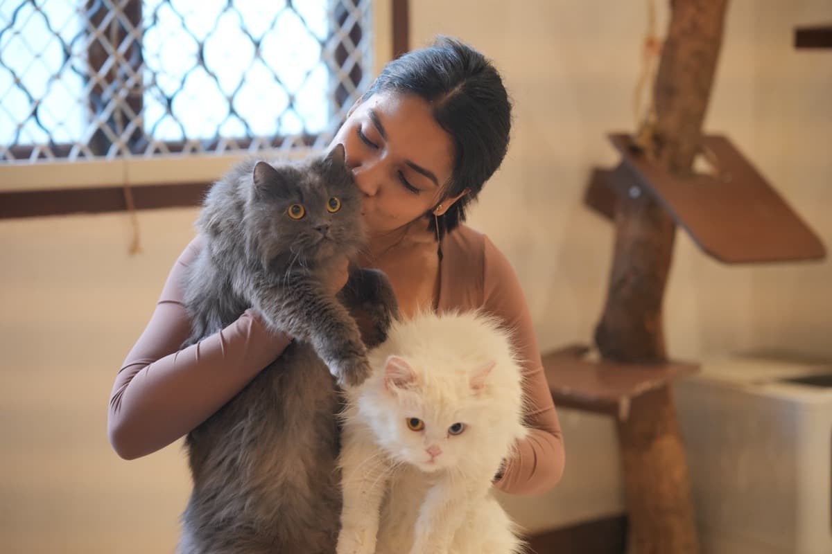 Priyanka's profile photo
