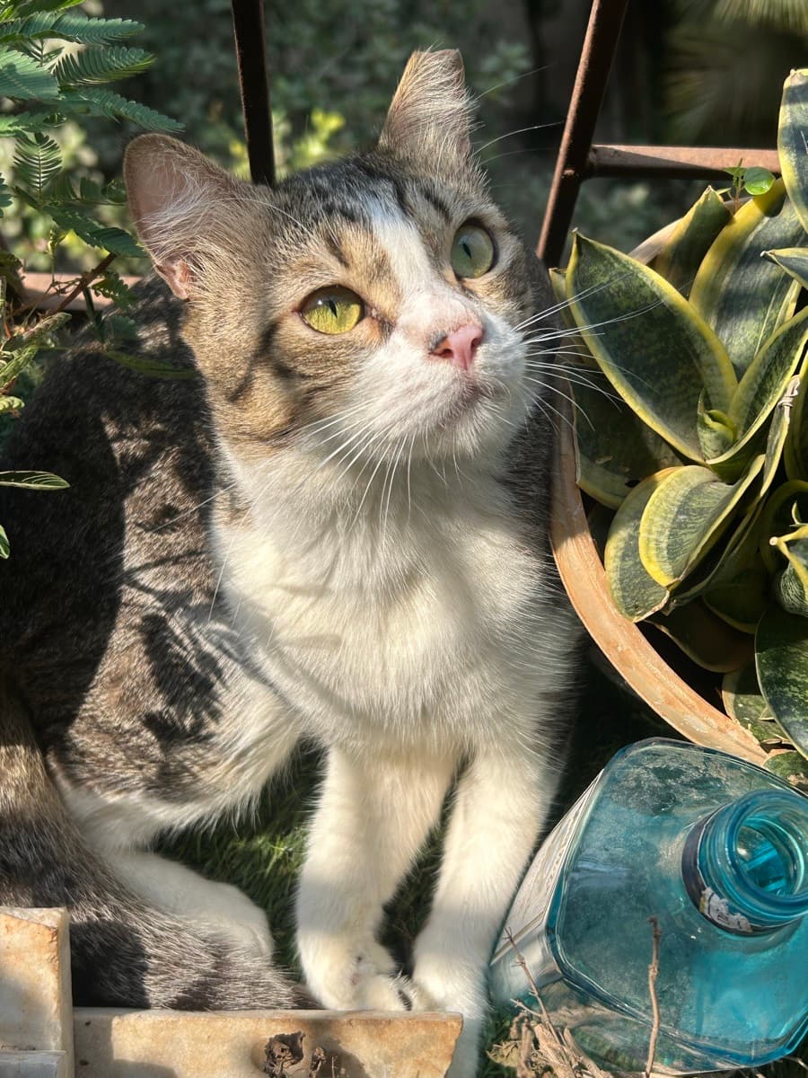 Carol's home photo 2