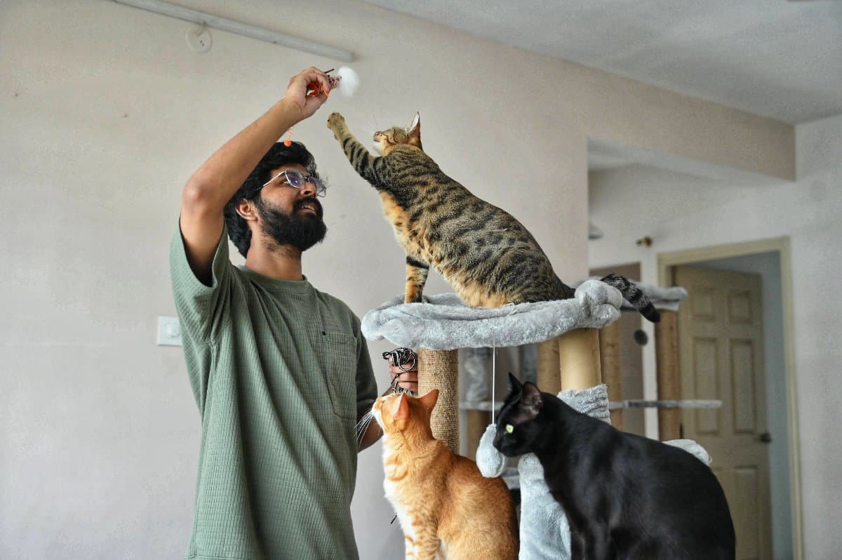 Shiva's home photo 1