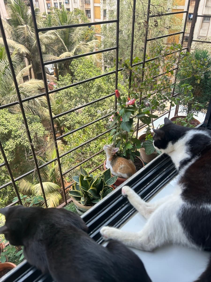 Carol's profile photo