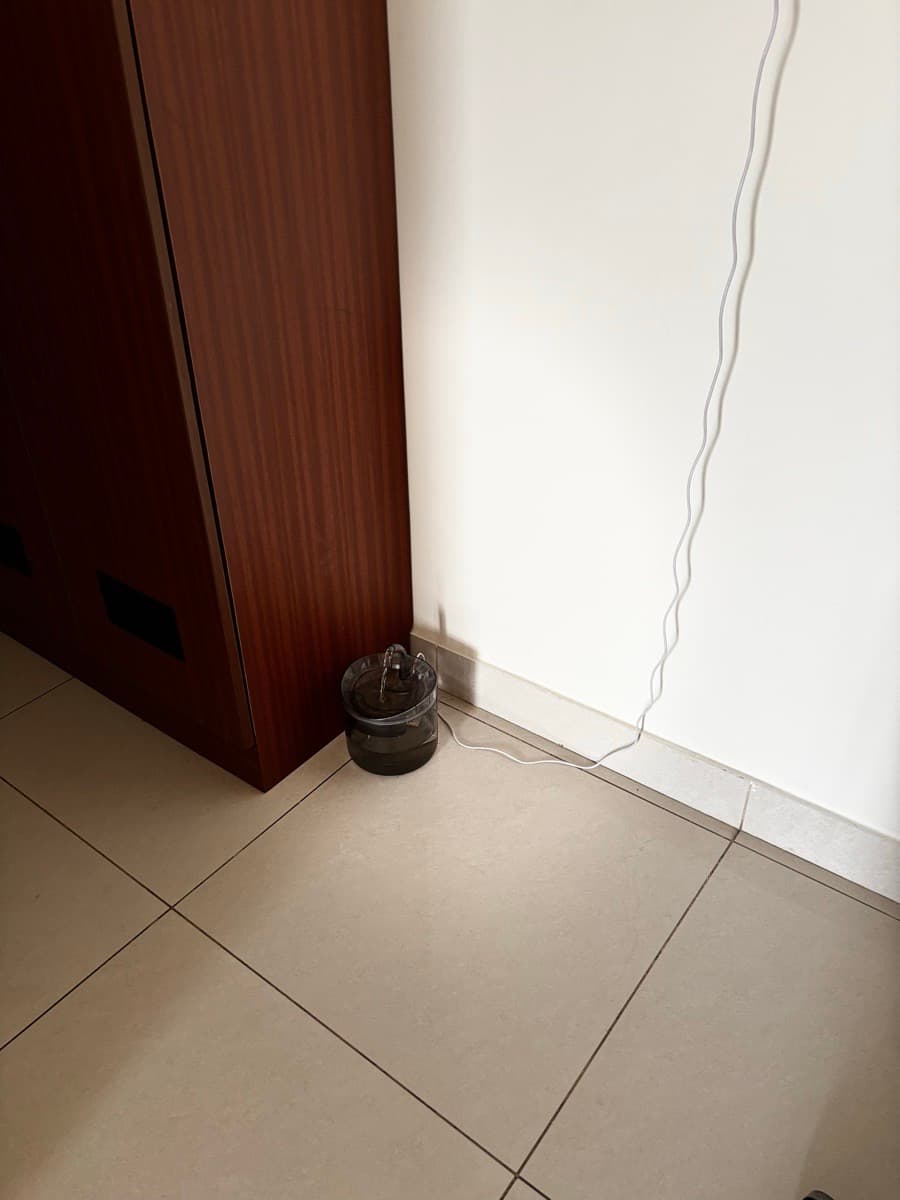 Reshma's home photo 3