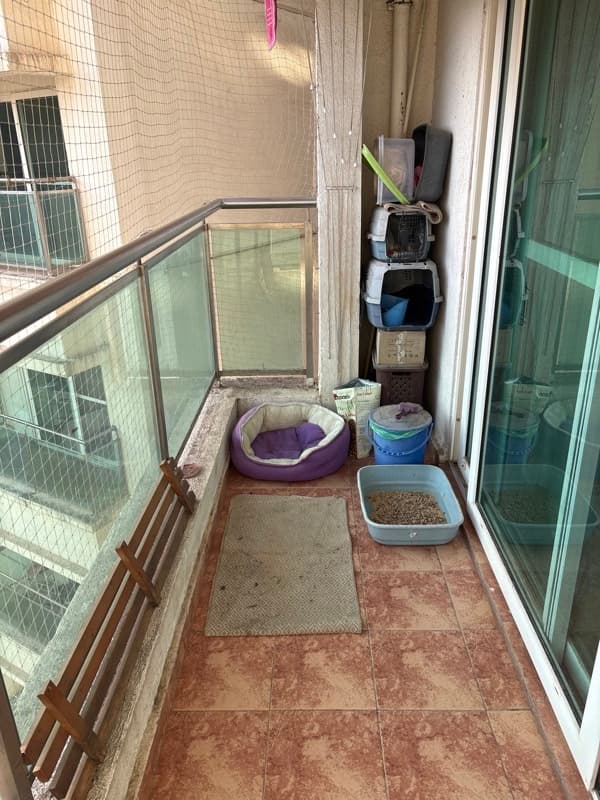 Niharika's home photo 2