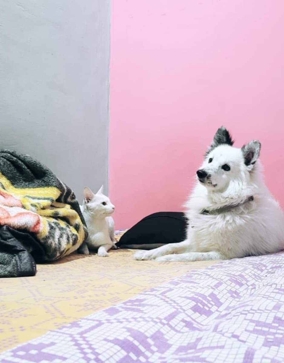 Shakshi's home photo 4