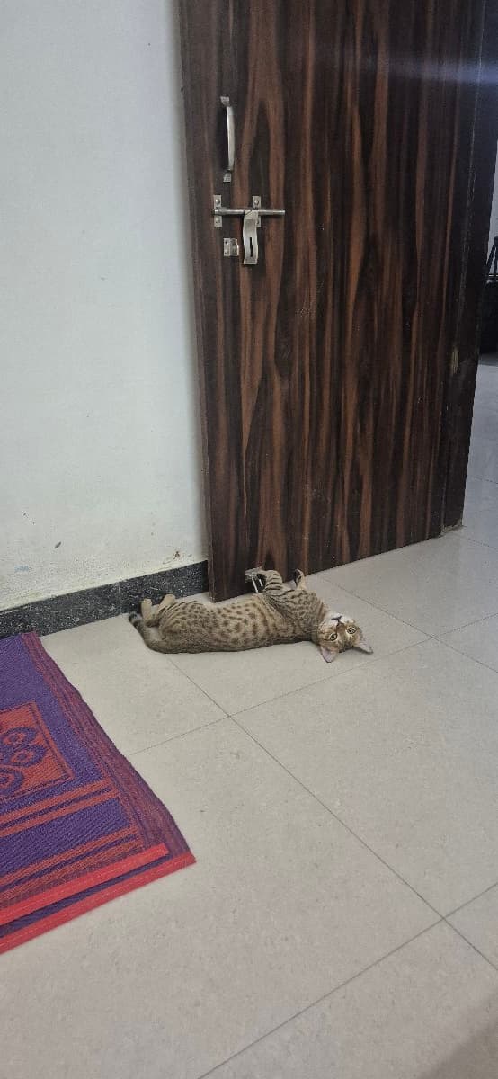 Harshita's home photo 4