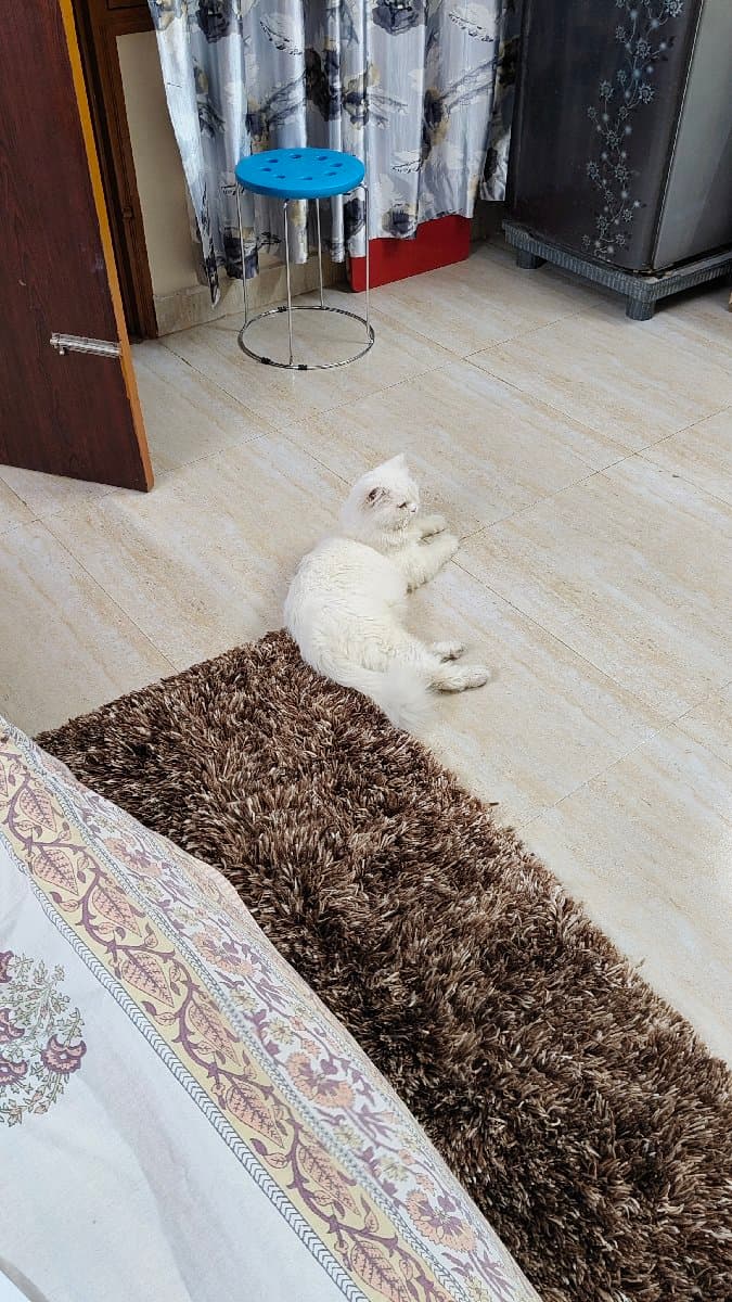 Saraswati's home photo 1