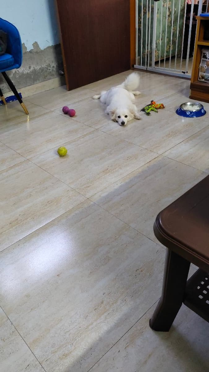 Saraswati's home photo 7