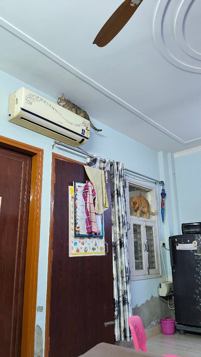 Saraswati's home photo 6
