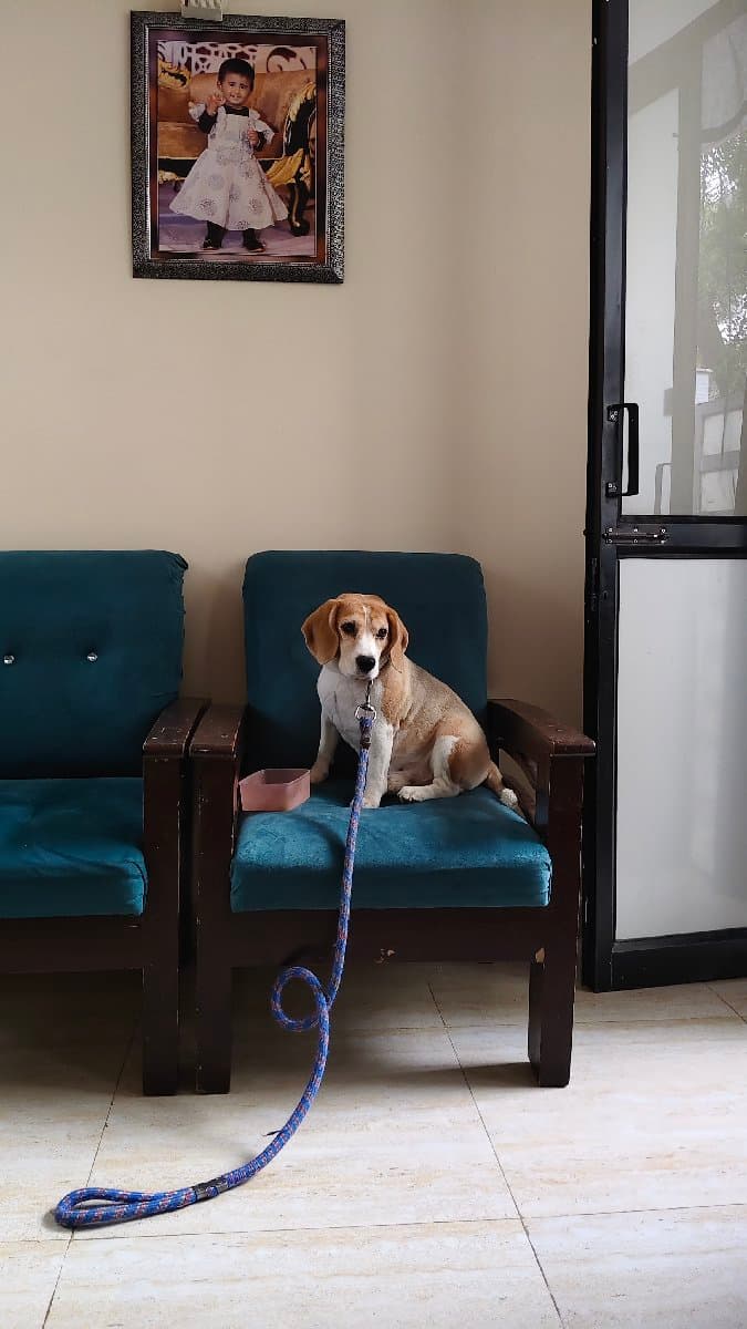 Saraswati's home photo 3